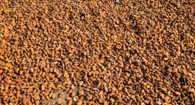 WhatsApp Image 2026-04-10 at 11.48.01 WhatsApp Image 2026-04-10 at 11.48.01