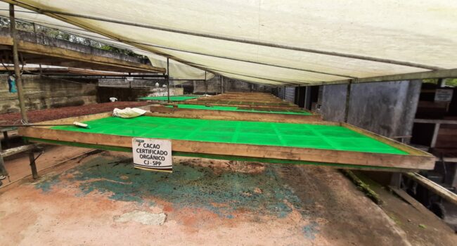 WhatsApp Image 2026-04-10 at 11.48.02 (1) WhatsApp Image 2026-04-10 at 11.48.02 (1)